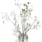 Branches plant with galss vase white – bouquet 22