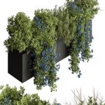 Hanging Plant – Outdoor Plants 503