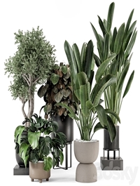 Indoor Plants in Ferm Living Bau Pot Large - Set 1204