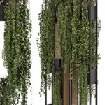 Indoor Hanging Plants in Metal Stand – Set 1005