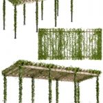 Pergola with Ivy v10