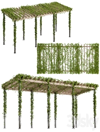 Pergola with Ivy v10