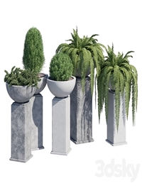 Modern planter