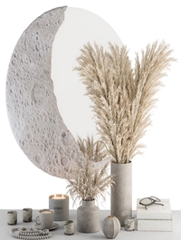 Decorative Set moon mirror with Dried Plant - Set 100