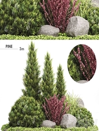 Set Plants 223 - Outdoor Garden