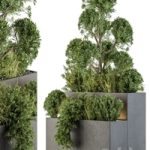 Outdoor Plant Set 214 – Plant Box