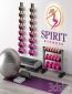 Excellent set for a fitness room. Sport equipment. Set