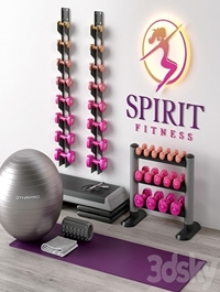 Excellent set for a fitness room. Sport equipment. Set
