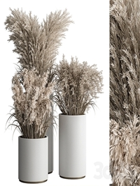 indoor Plant Set 406 - Dried Plant Set in Pot