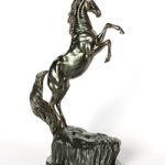 Wild Horse