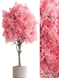 Indoor Plant 657 - Pink Tree