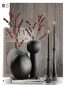 Decor set 38 Ilex