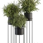 indoor Plant Set 371- Bush and Plant Set in Black stand