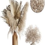 pampas set 04