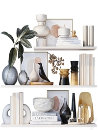Shelves with decor