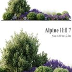 Alpine Hill 7