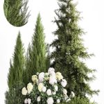 Garden of spruce, pine, topiary, white hydrangea bush, flowers, juniper, alpine hill. Plant set 1181 Garden of spruce, pine, topiary, white hydrangea bush, flowers, juniper, alpine hill. Plant set 1181
