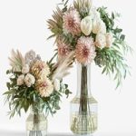 Flower Set 014 Dahlia