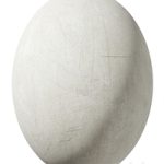 Plaster Material 78 Plaster Material 78