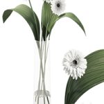 021 Flowers and leaves in vase indoor decor plant